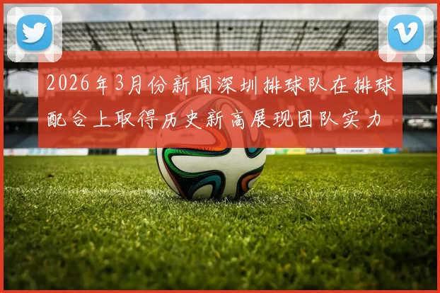 2026年3月份新闻深圳排球队在排球配合上取得历史新高展现团队实力与创新精神